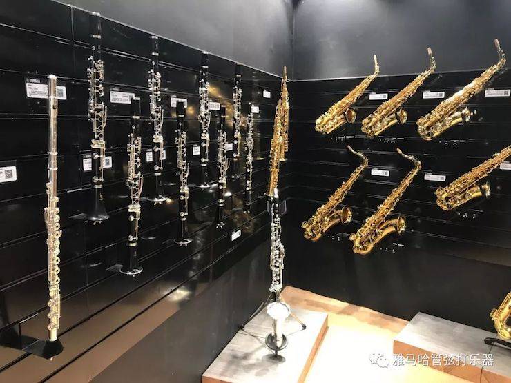 果博乐器 试奏乐器