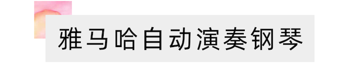 活动报道 | 远程艺术教育大师课活动—果博教育家崔岚大师课